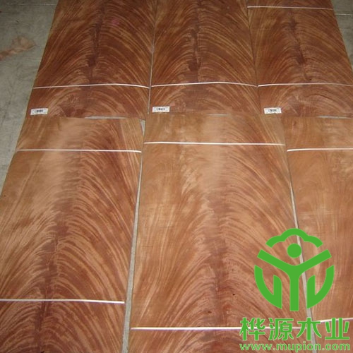 桃花芯樹杈木皮品質好，0.5mm高檔樹杈木皮批量供應